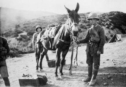 Mule and handler of the pack transport section