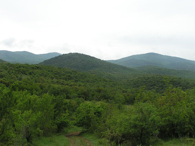 View across the Doiran battlefield