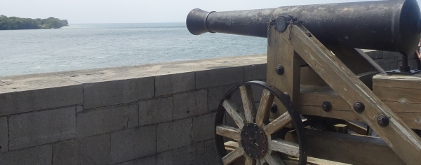 The French and Indian Wars