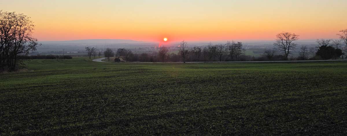 Walking Austerlitz