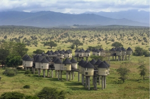 Bespoke World War 1 Battlefield Tour and Safari in Kenya - click to enlarge sImageCaption