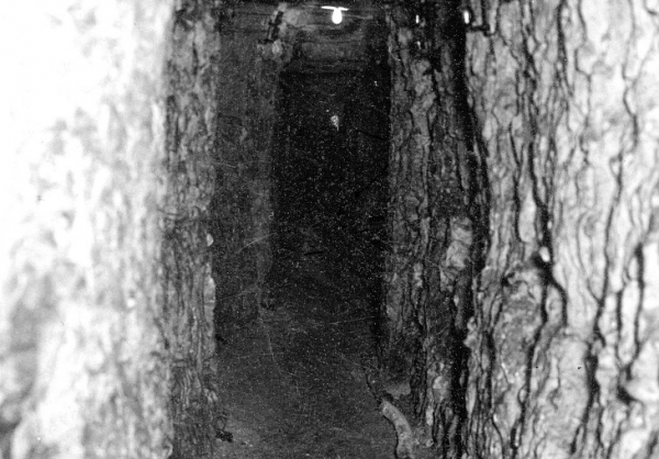 Explorers find lost WW2 bunker used by Churchill’s ‘secret guerrilla army’ of assassins Explorers find lost WW2 bunker used by Churchill’s ‘secret guerrilla army’ of assassins