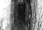 Explorers find lost WW2 bunker used by Churchill�s �secret guerrilla army� of assassins