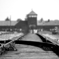 Holocaust: Poland & The Nazi Death Camps - April 2019 Tour Images - click here to read more Holocaust: Poland & The Nazi Death Camps - April 2019 Tour Images - click here to read more