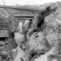 1917 Centenary Tour Report & Gallery - April 2017 - click here to read more 1917 Centenary Tour Report & Gallery - April 2017 - click here to read more