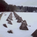 The Battle of the Bulge Tour Images - December 2018 - click here to read more The Battle of the Bulge Tour Images - December 2018 - click here to read more