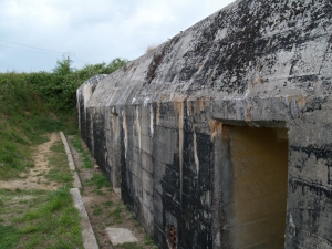 Maisy Battery - click to enlarge Maisy Battery