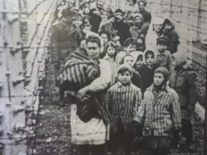 Auschwitz Liberation - click to enlarge Auschwitz Liberation