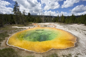 Morning Glory Pool - click to enlarge Morning Glory Pool