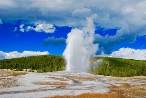 Old Faithful Geyser - click to enlarge Old Faithful Geyser