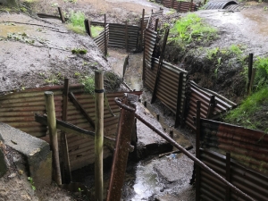 Sanctuary Wood trenches - click to enlarge Sanctuary Wood trenches