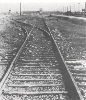 Birkenau - click to enlarge Birkenau