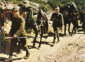 Operation Marita - click to enlarge Operation Marita