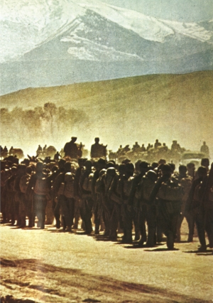 Operation Marita - click to enlarge Operation Marita