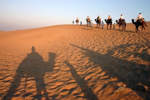 Camel trek in the Thar desert - click to enlarge Camel trek in the Thar desert