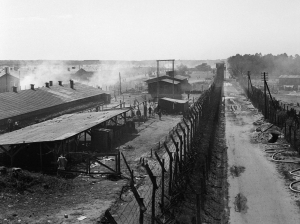 The liberation pf Bergen-Belsen - click to enlarge The liberation pf Bergen-Belsen