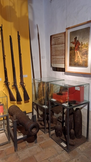 Paraguay and the War of the Triple Alliance - click to enlarge Paraguay and the War of the Triple Alliance